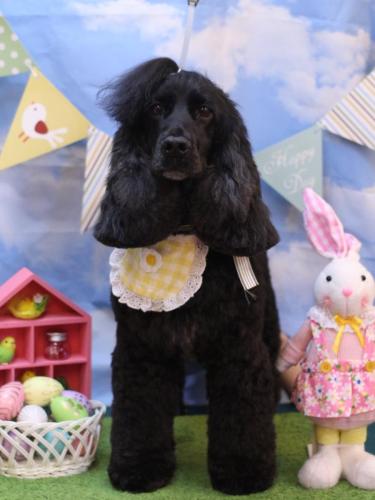 20240320はるちゃん